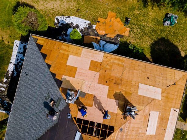 Best Roof Maintenance Services  in Orfordville, WI