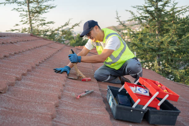 Best Metal Roofing Contractor  in Orfordville, WI