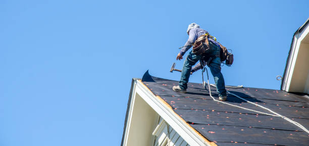Best Flat Roof Repair Services  in Orfordville, WI